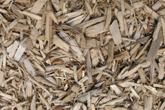 biomass boilers Ruddle